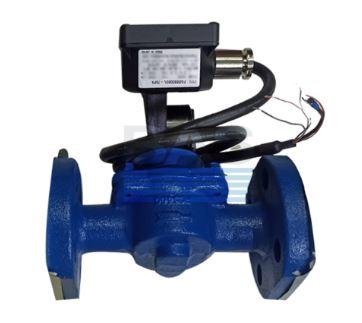 flow meter 2 inch